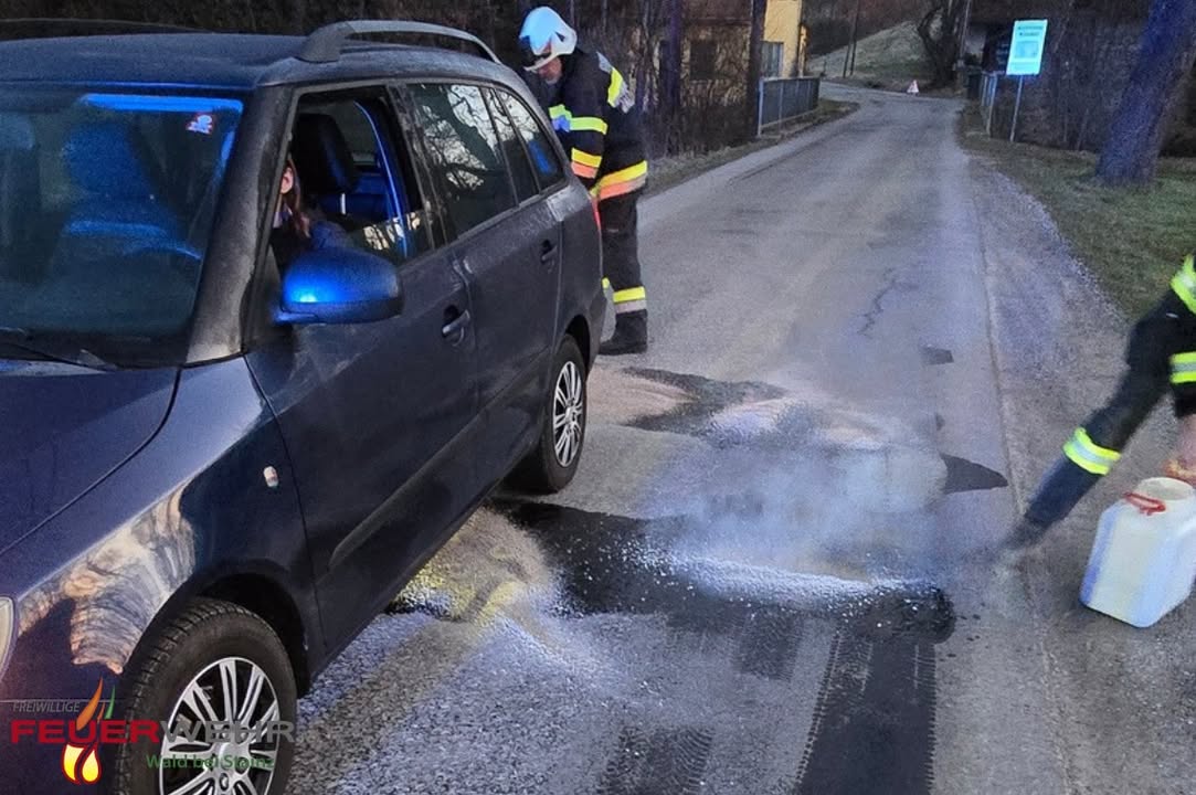 Freiwillige Feuerwehr Wald bei Stainz