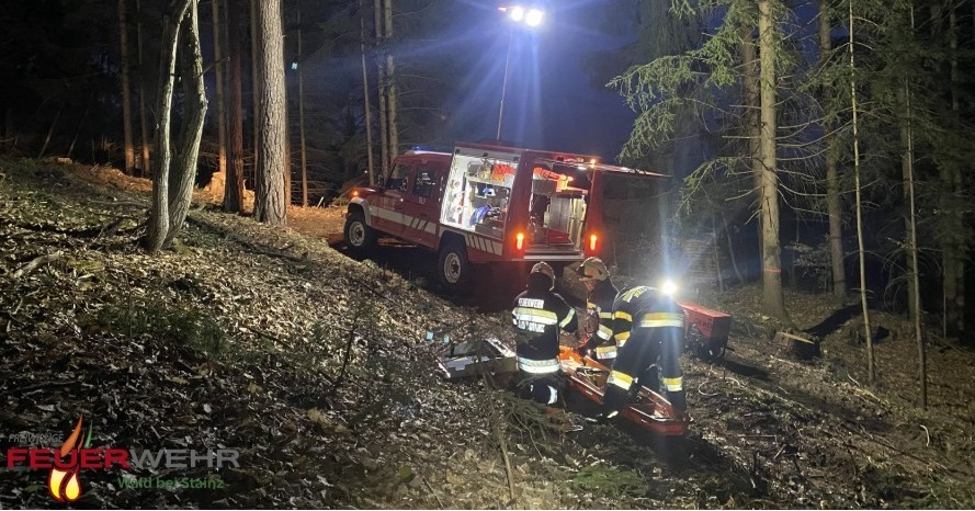 Freiwillige Feuerwehr Wald bei Stainz