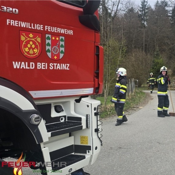 Freiwillige Feuerwehr Wald bei Stainz