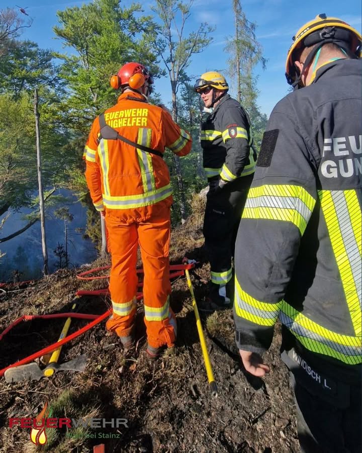 Freiwillige Feuerwehr Wald bei Stainz