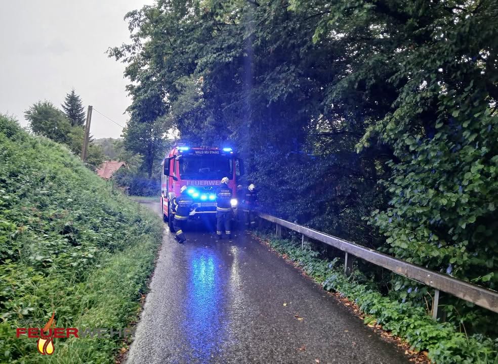 Freiwillige Feuerwehr Wald bei Stainz