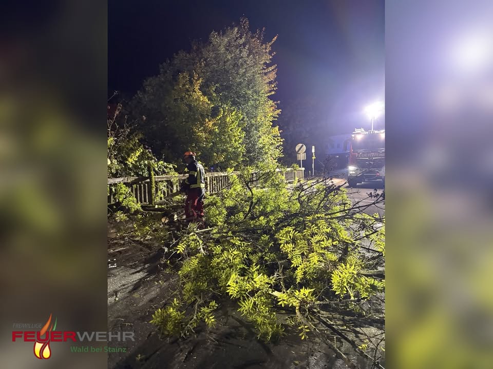 Freiwillige Feuerwehr Wald bei Stainz